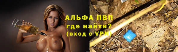 прущие грибы Армянск