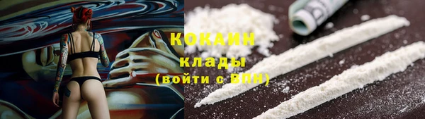 прущие грибы Армянск