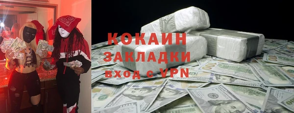 прущие грибы Армянск