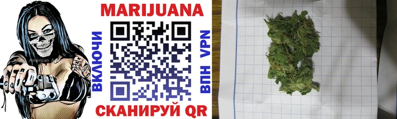 закладки  Порхов  Шишки марихуана Ganja 